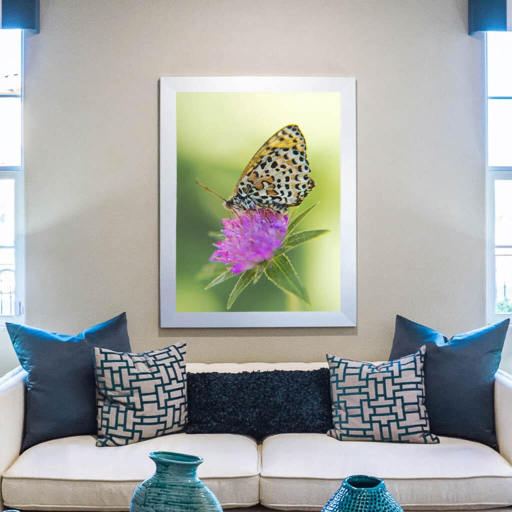 stampe fotografiche fine art Padova