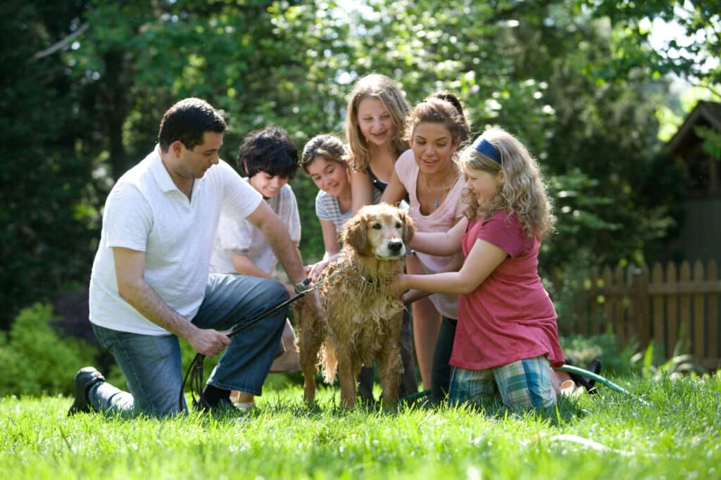 immagini famiglia con cane